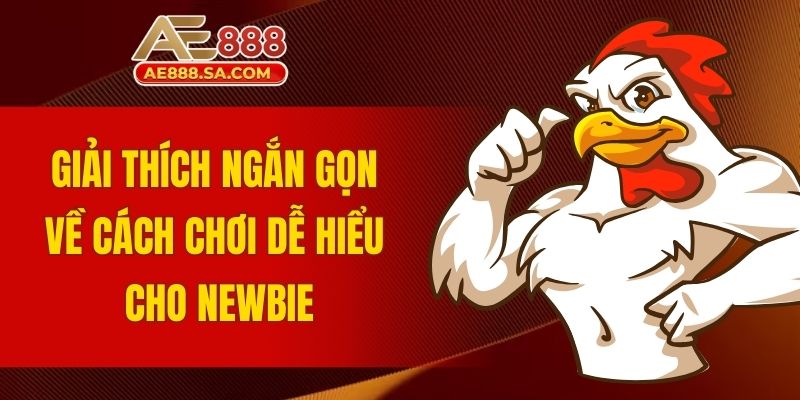 Trực Tiếp Đá Gà Thomo AE888 Mỗi Ngày Thắng Lớn Cực Dễ Giải thích ngắn gọn về cách chơi dễ hiểu cho newbie