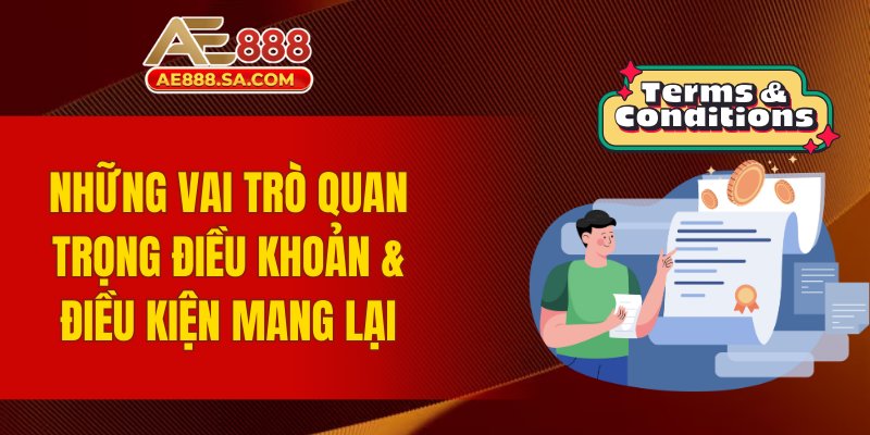 Những vai trò quan trọng điều khoản và điều kiện mang lại