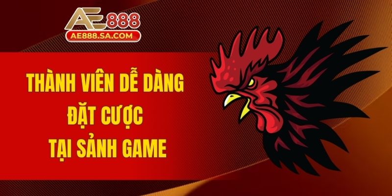 Trực Tiếp Đá Gà Thomo AE888 Mỗi Ngày Thắng Lớn Cực Dễ Thành viên dễ dàng đặt cược tại sảnh game