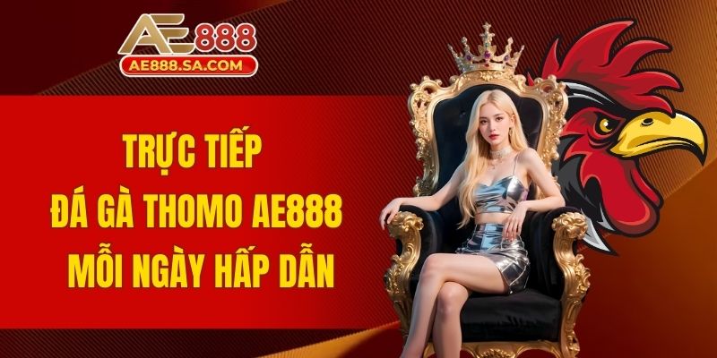 trực tiếp đá gà Thomo AE888