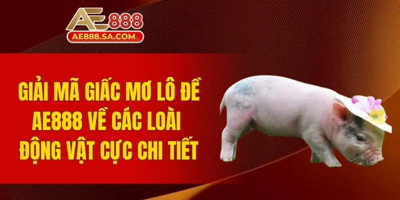Giải Mã Giấc Mơ Lô Đề AE888 - Bí Quyết Cá Cược Thắng Lớn Giải mã giấc mơ lô đề AE888 về các loài động vật cực chi tiết